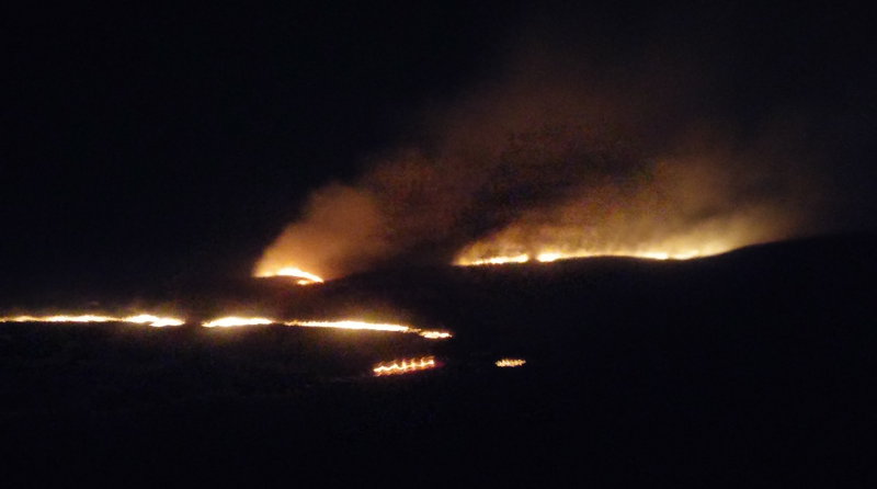 A Controlled fire burns a field in the middle of the night in rural Kansas.
